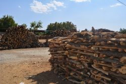 Oduncular kışa hazır