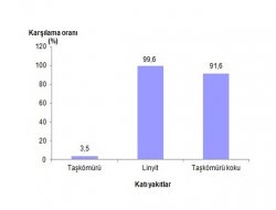 En fazla üretim ve teslimat linyitte gerçekleşti