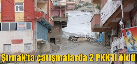 Şırnak’ta çatışmalarda 2 PKK'li öldü video foto