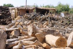 ​Oduncular odun kaçakçılığından muzdarip video