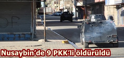 Nusaybin’de 9 PKK’li öldürüldü