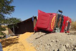 Çınar'da mısır yüklü kamyon devrildi