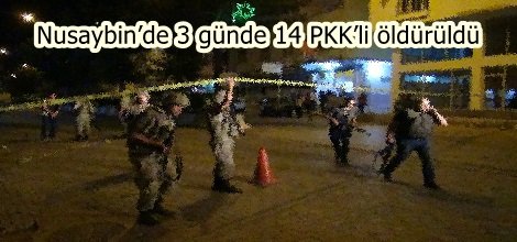 Nusaybin’de 3 günde 14 PKK’li öldürüldü