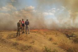 Anız yakmak insan sağlığına da zarar veriyor