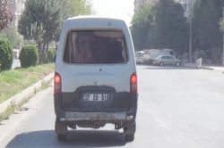 Büyükbaş hayvanlara VIP seyahat