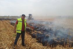 “Anız yakanlar tarımsal desteklerden yararlanamayacak”