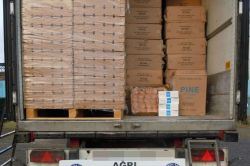 Ağrı'da 239 bin paket kaçak sigara ele geçirildi