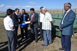 Muşlu hayvan yetiştiricilerine 860 sıvat dağıtıldı