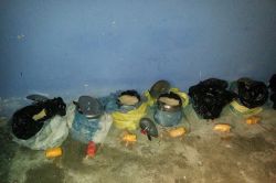 Van’da çok miktarda patlayıcı ele geçirildi