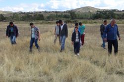 Köylüler işi gücü bırakıp göktaşı arıyor