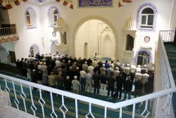 Camiler ve Din Görevlileri Haftası