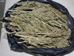 Kovalamaca sonrası durdurulan araçlardan 45 kilogram esrar çıktı