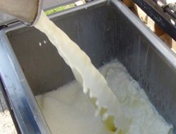 Sokaklarda çiğ süt satışı yasaklandı