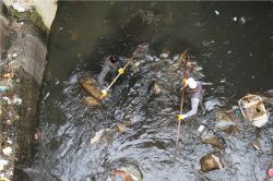 Bitlis deresi temizlik çalışmasına başlandı