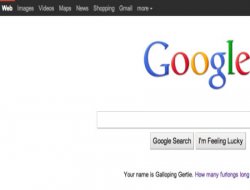 Google'a Chrome ayarı