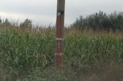 Bursa’da direkteki düzenek paniğe neden oldu