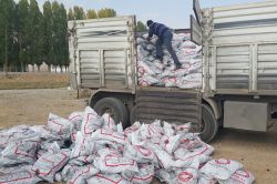 Muş’ta 35 bin ton kömür dağıtılacak