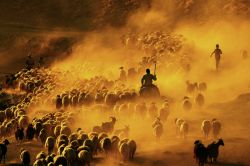 Bitlisli fotoğrafçı FIAB Mansiyon ödülünü aldı