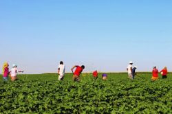 “Mevsimlik işçi sorununa çare bulunmalı”