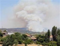 Sınırda 5 ayrı noktada yangın