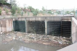 Çöp biriken kanal hastalık saçıyor