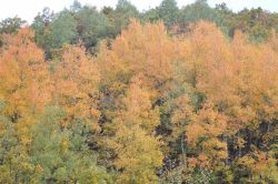 Bitlis’ten sonbahar manzaraları