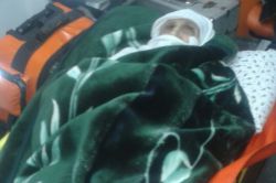 Bingöllü asırlık çınar oyunu kullandı