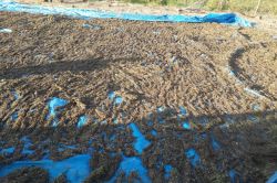 Diyarbakır’da 550 kilo esrar ele geçirildi