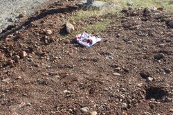 Avdan dönerken arkadaşının silahıyla başından vuruldu