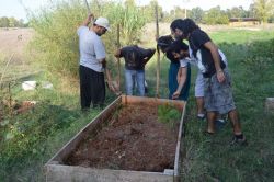 Öğrenciler üniversitede bostan kurdu