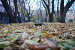 Ağrı’da sonbahar güzelliği