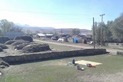 Ağrı'da hayvan hırsızlığı