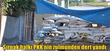 Şırnak halkı PKK’nin zulmünden dert yandı
