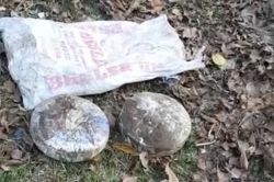 Şırnak'ın Beytüşşebap ilçesinde mühimmat bulundu