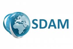 SDAM 1 Kasım seçimini değerlendirdi