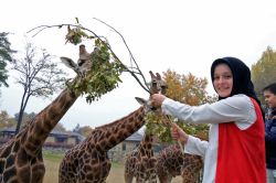 Bursa Hayvanat Bahçesi’ne giriş, 3 gün ücretsiz