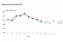 Eylül ayında yaklaşık 700 bin ton inek sütü toplandı