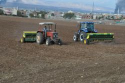 Batman’da çiftçiler tarla sürümüne başladı