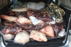 Diyarbakır’da kaçak et ele geçirildi