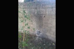 İdil’de 2 PKK’li öldürüldü