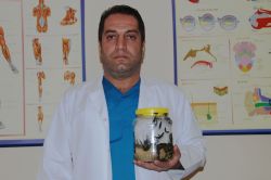 Sülük birçok hastalığa deva