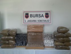 Bursa’da 24 bin paket kaçak sigara ele geçirildi