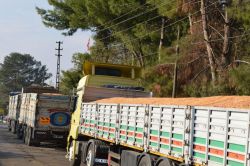 Çiftçiler mısır fiyatlarından memnun değil