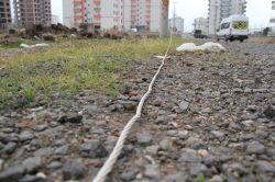 Kopan elektrik telleri ölüme davetiye çıkarıyor