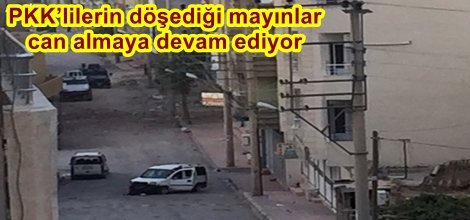 PKK’lilerin döşediği mayınlar can almaya devam ediyor