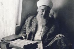 "Zâhid Kotku Hoca dünyayı analiz edebilen bir âlimdi"