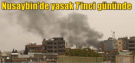 Nusaybin'de yasak 7’inci gününde
