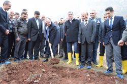 Siirt’te 40 bin adet fıstık fidanı toprakla buluştu