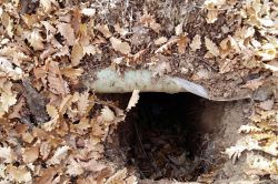 Bingöl'de PKK'ya ait 5 sığınak bulunarak imha edildi