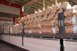 Geçen yıl 5 TL olan patatesin fiyatı 50 kuruşa düştü